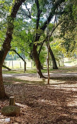 Apartamento para alugar com 100m², 3 quartos e sem vaga