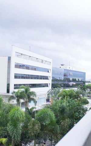 Apartamento para alugar com 69m², 2 quartos e 1 vaga Apartamento para alugar com 69m², 2 quartos e 1 vagaVaranda da Sala/Quarto