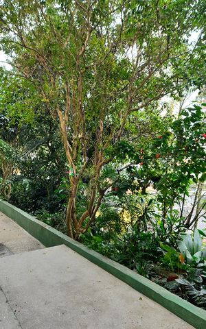 Apartamento à venda com 65m², 1 quarto e sem vagaÁrea comum
