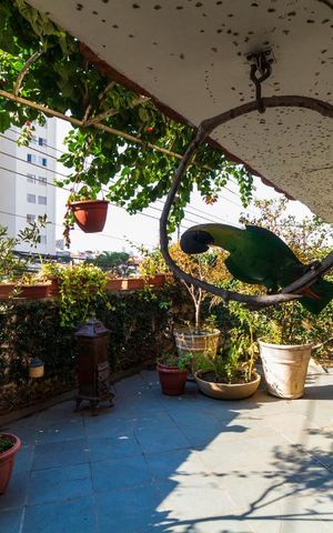 Casa para alugar com 198m², 3 quartos e 2 vagasÁrea Externa