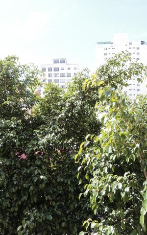 Apartamento à venda com 155m², 3 quartos e sem vagavista