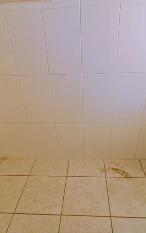 Apartamento para alugar com 89m², 2 quartos e 2 vagas Apartamento para alugar com 89m², 2 quartos e 2 vagasÁrea de Serviço