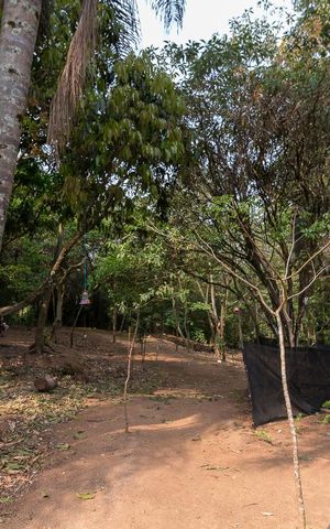 Apartamento para alugar com 45m², 1 quarto e 1 vagaBosque