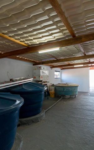 Casa à venda com 230m², 2 quartos e 1 vagaTerraço