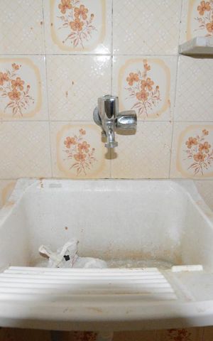 Apartamento à venda com 70m², 2 quartos e 1 vagaCozinha - área de serviço