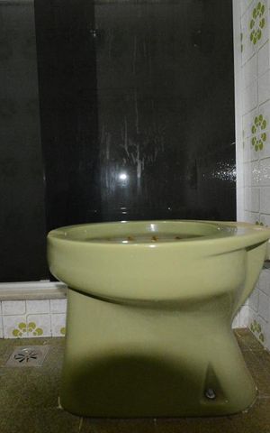 Apartamento à venda com 70m², 2 quartos e 1 vagaBanheiro Social - Vaso