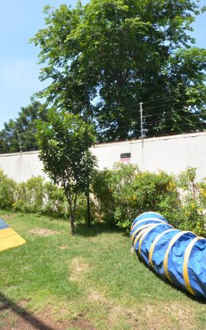 Apartamento à venda com 47m², 1 quarto e 1 vagaEspaço Pet