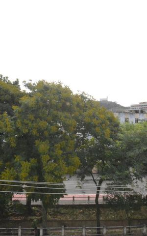 Apartamento à venda com 118m², 3 quartos e sem vagaVista do Quarto 1