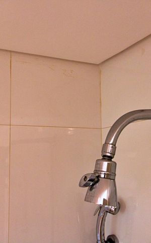 Apartamento para alugar com 197m², 4 quartos e 3 vagasBanheiro da Suíte 4