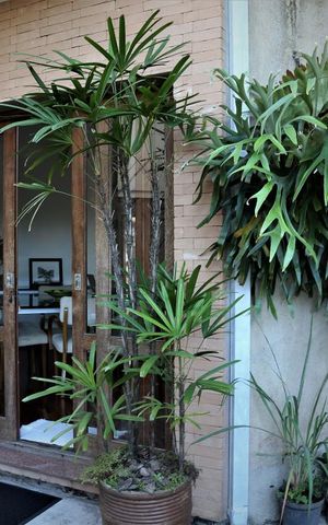 Casa à venda com 385m², 4 quartos e 6 vagasÁrea Externa