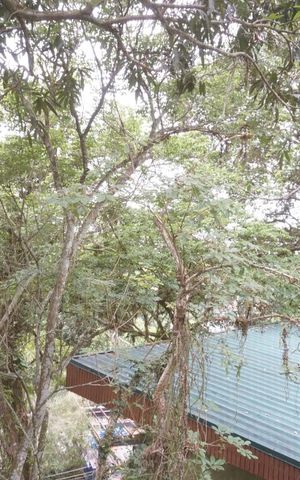 Casa de condomínio para alugar com 260m², 5 quartos e 2 vagasVista do Quarto 1