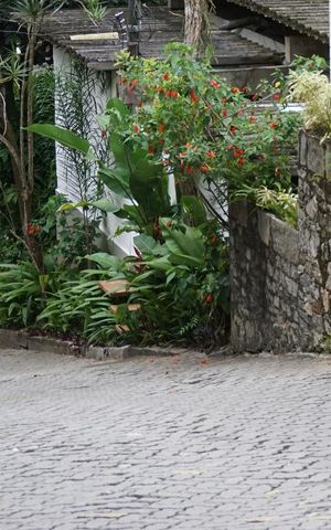 Casa de condomínio para alugar com 260m², 5 quartos e 2 vagasFachada