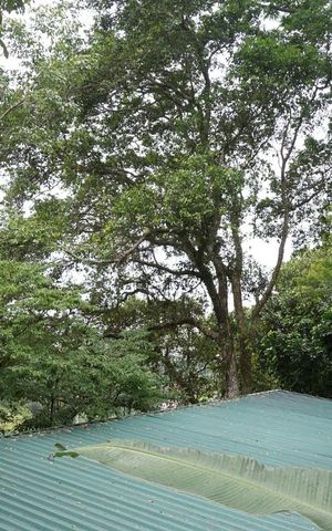 Casa de condomínio para alugar com 260m², 5 quartos e 2 vagasVista Suíte 2