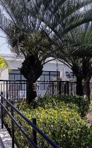 Apartamento à venda com 85m², 3 quartos e 2 vagas Apartamento à venda com 85m², 3 quartos e 2 vagasPiscina Aquecida