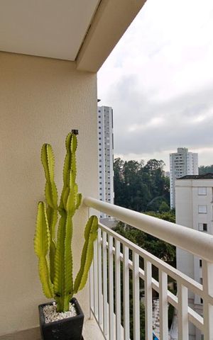 Apartamento à venda com 65m², 1 quarto e 1 vaga Apartamento à venda com 65m², 1 quarto e 1 vagaVaranda da Sala/Quarto