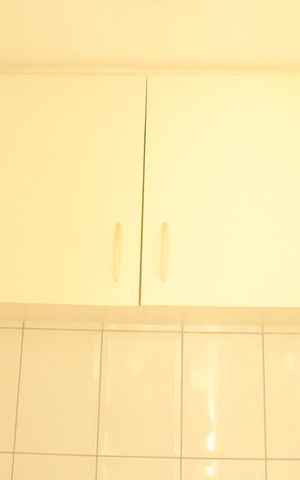 Apartamento para alugar com 60m², 2 quartos e 1 vagaArmário Banheiro Lavanderia