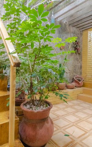 Casa à venda com 300m², 7 quartos e 1 vaga Casa à venda com 300m², 7 quartos e 1 vagaDetalhe da Sala - Corredor