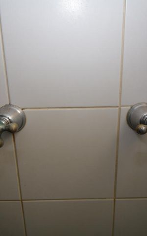Apartamento para alugar com 55m², 2 quartos e 1 vagaBanheiro