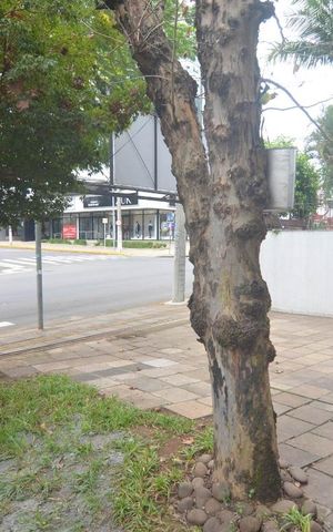 Casa à venda com 250m², 3 quartos e 6 vagasPátio frente