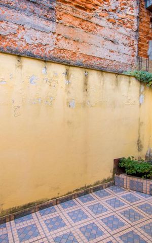 Casa à venda com 180m², 4 quartos e 2 vagas Casa à venda com 180m², 4 quartos e 2 vagasVista do Quarto 3
