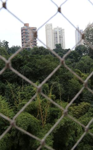 Apartamento à venda com 77m², 2 quartos e 2 vagasVista da Varanda