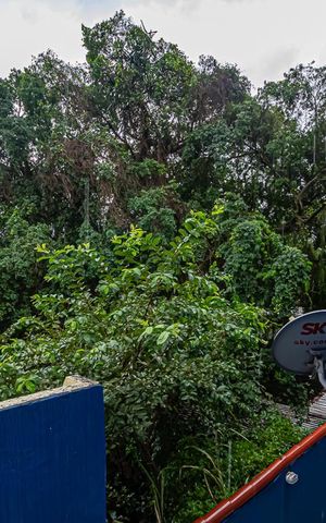 Casa para alugar com 55m², 1 quarto e sem vagaVista do Quarto