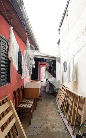 Casa à venda com 300m², 2 quartos e 2 vagasQuintal