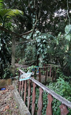 Casa à venda com 1300m², 5 quartos e 6 vagasJardim 