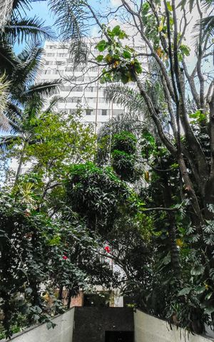 Apartamento para alugar com 65m², 2 quartos e 1 vaga Apartamento para alugar com 65m², 2 quartos e 1 vagaFachada