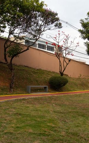 Apartamento à venda com 62m², 3 quartos e 1 vaga Apartamento à venda com 62m², 3 quartos e 1 vagaPista de cooper