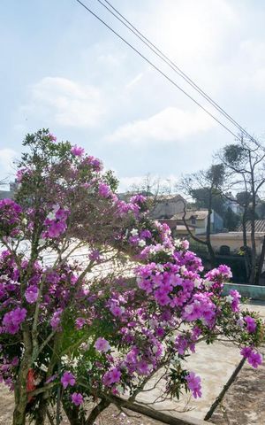 Casa à venda com 120m², 2 quartos e 10 vagasVista Quarto 1