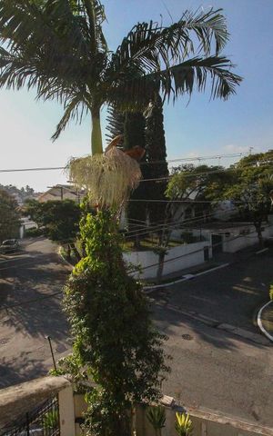 Casa à venda com 600m², 5 quartos e 5 vagasVista