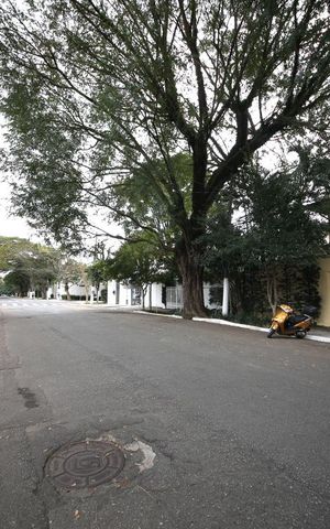 Casa para alugar com 280m², 4 quartos e 3 vagasVizinhança