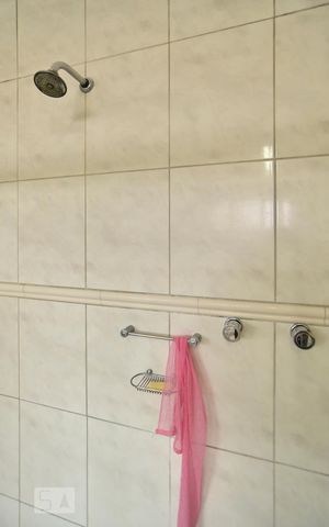 Apartamento para alugar com 327m², 5 quartos e 2 vagasBanheiro da suite - chuveiro a gás