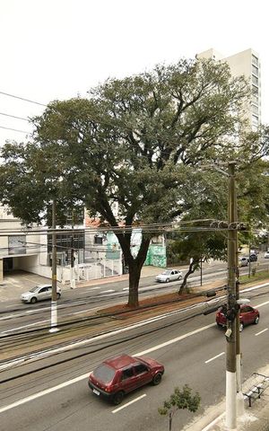 Apartamento para alugar com 327m², 5 quartos e 2 vagasVista da Varanda - noroeste