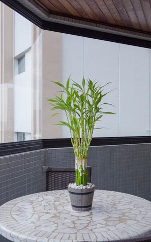 Apartamento à venda com 240m², 4 quartos e 3 vagas Apartamento à venda com 240m², 4 quartos e 3 vagasVaranda da Sala