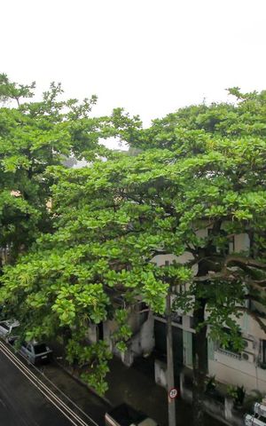 Apartamento para alugar com 40m², 1 quarto e sem vaga Apartamento para alugar com 40m², 1 quarto e sem vagaVista do Quarto 1