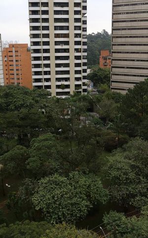 Apartamento à venda com 302m², 3 quartos e 4 vagasVista da Varanda