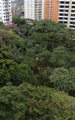 Apartamento à venda com 302m², 3 quartos e 4 vagasVista
