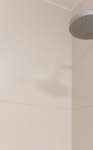 Apartamento à venda com 65m², 2 quartos e 1 vaga Apartamento à venda com 65m², 2 quartos e 1 vagaChuveiro