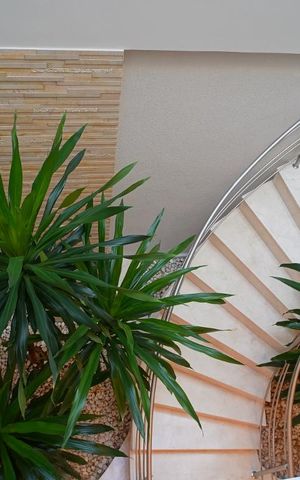 Casa à venda com 500m², 5 quartos e 5 vagasescada