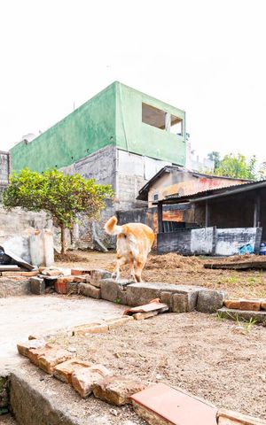 Casa à venda com 424m², 3 quartos e sem vagaÁrea comum
