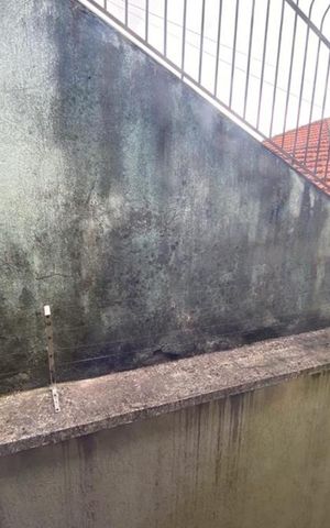 Casa à venda com 146m², 3 quartos e 4 vagasVista do Quarto 3