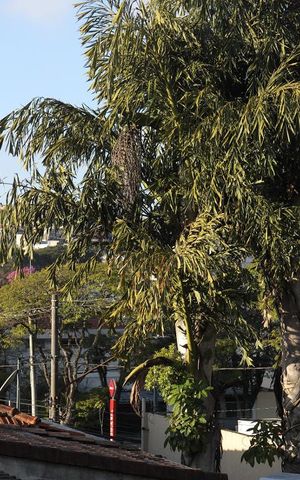 Casa para alugar com 360m², 4 quartos e 4 vagasvista da Sacada