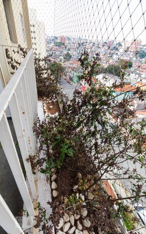 Apartamento para alugar com 61m², 2 quartos e 1 vagaVaranda