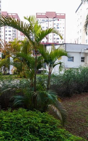 Studio para alugar com 36m², 1 quarto e 1 vagaVista