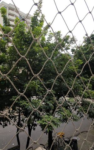 Apartamento para alugar com 67m², 2 quartos e sem vagaVista do Quarto 1