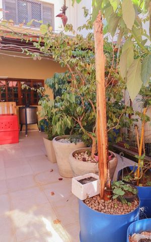 Casa à venda com 150m², 3 quartos e 2 vagas Casa à venda com 150m², 3 quartos e 2 vagasQuintal
