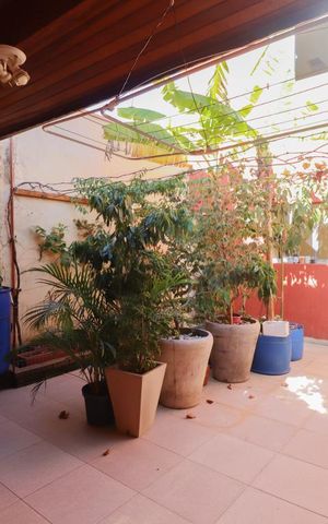 Casa à venda com 150m², 3 quartos e 2 vagas Casa à venda com 150m², 3 quartos e 2 vagasQuintal