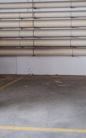 Apartamento para alugar com 76m², 3 quartos e 1 vaga Apartamento para alugar com 76m², 3 quartos e 1 vagaGaragem